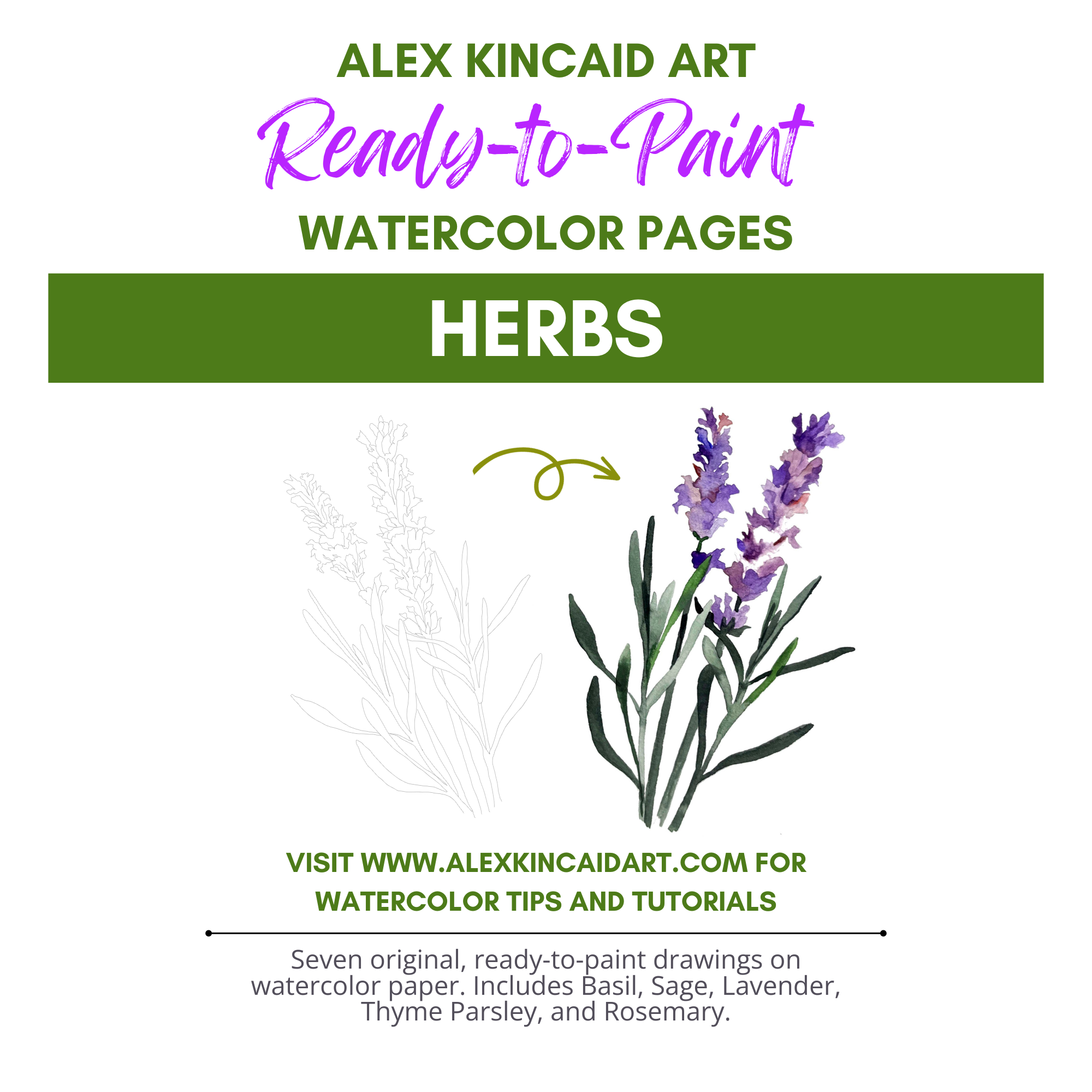 Watercolor Painting Kit - Everything You Need to Start Painting! – Alex's  Garden Studio