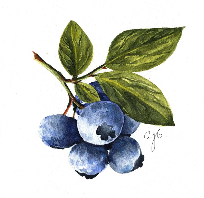 Ready-to-Paint Watercolor Pages: Fruit