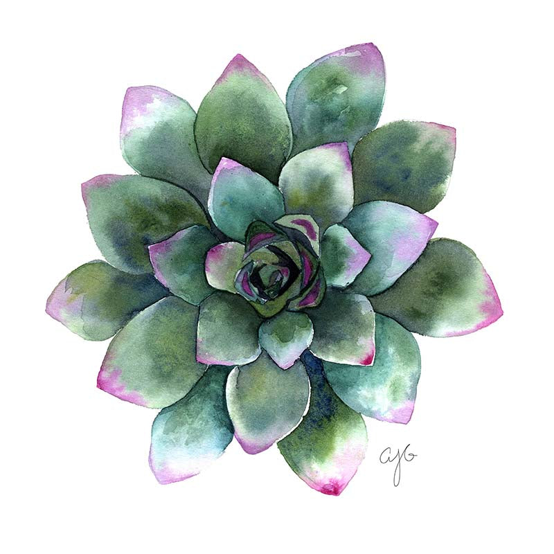 Ready-to-Paint Watercolor Pages: Succulents