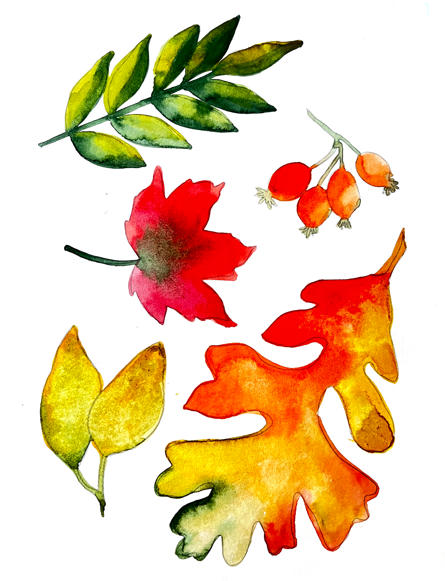 Ready-to-Paint Watercolor Pages: Autumn Motifs