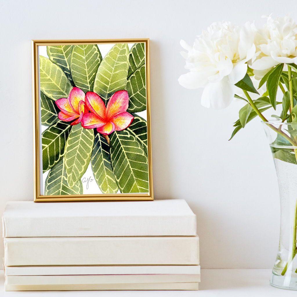 Plumeria: Refresh Collection