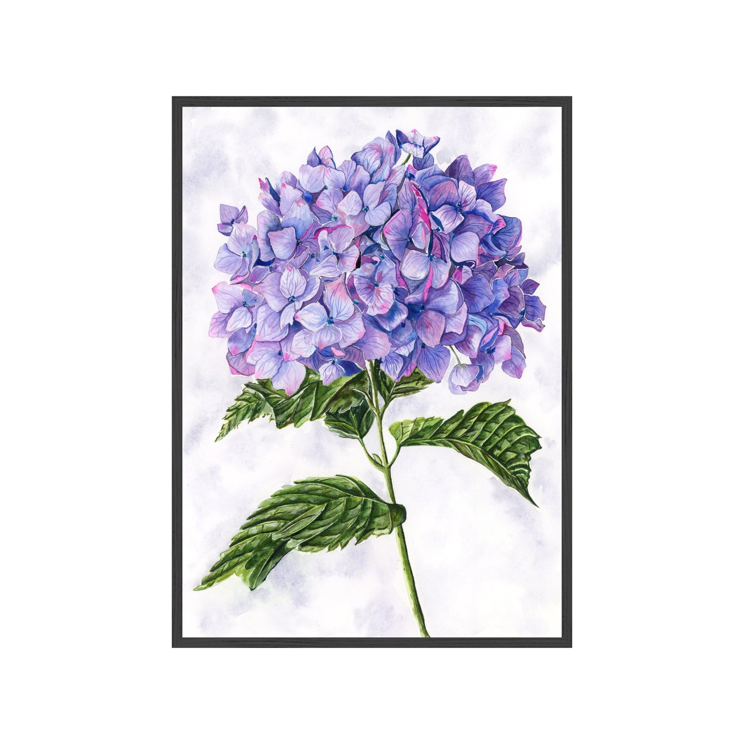Small Purple Hydrangea {The Archives}