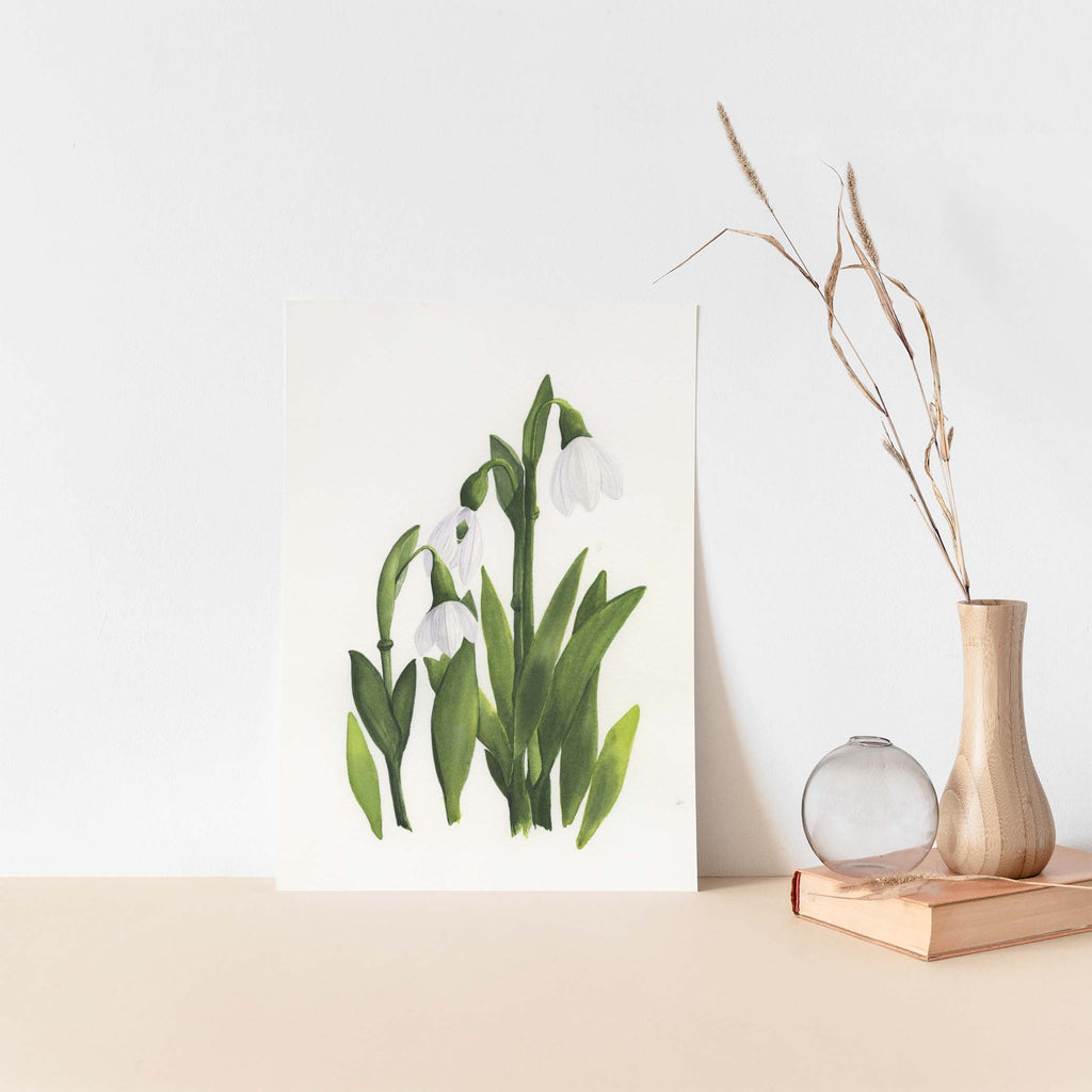 JANUARY: SNOWDROPS