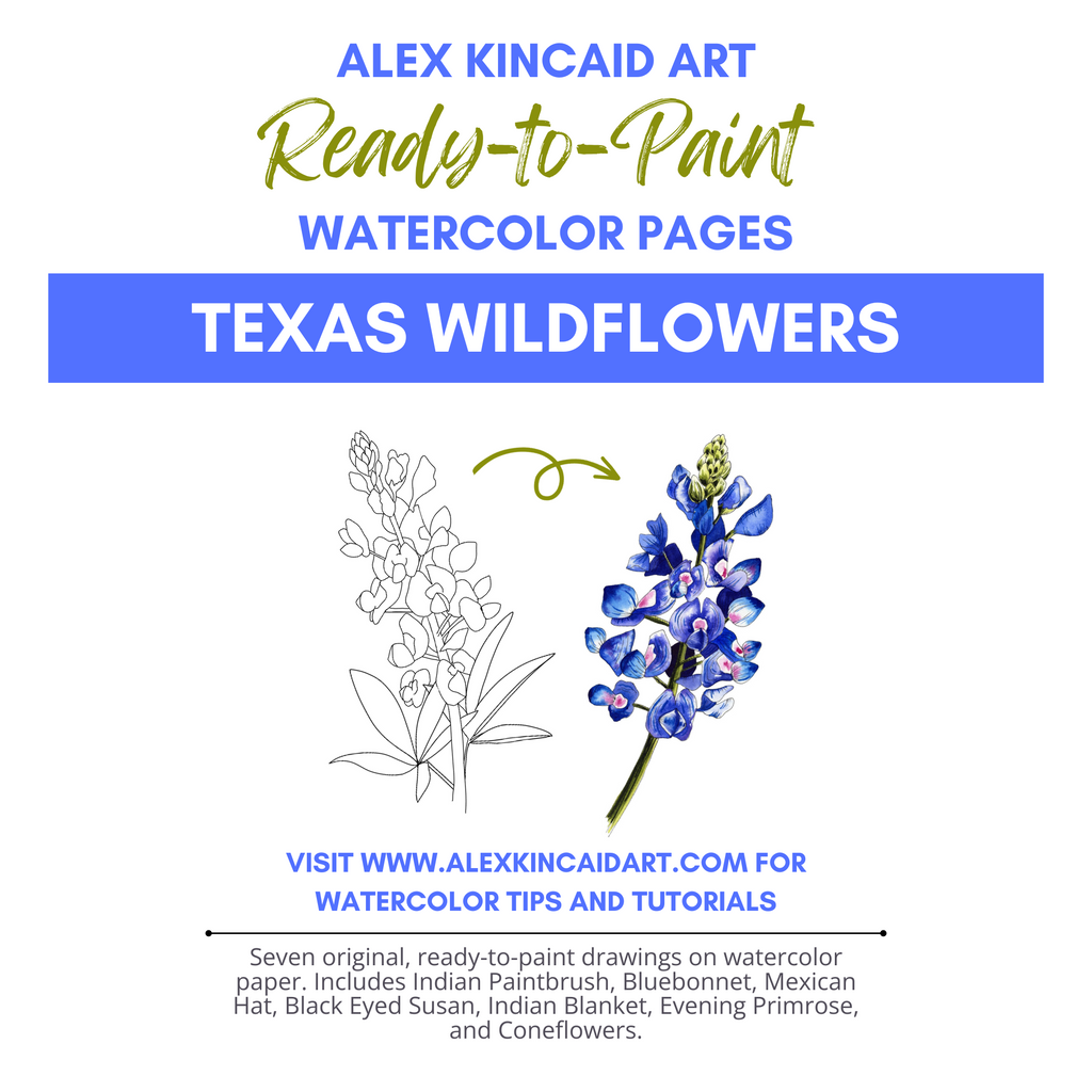 Ready-to-Paint Watercolor Sheets: Texas Wildflowers
