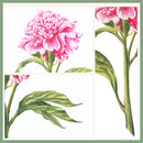 Realistic Peony Masterclass: Intermediate Watercolor Course