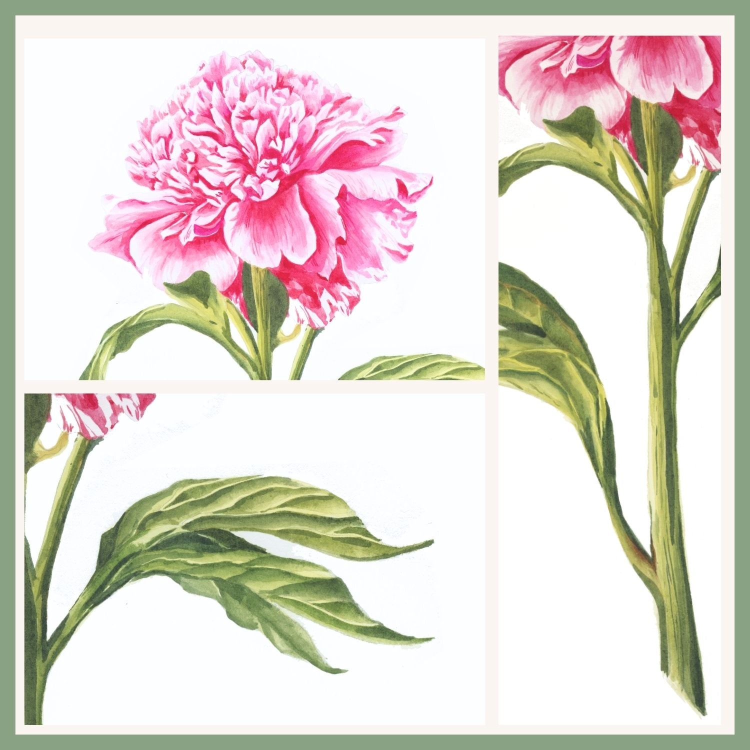 Realistic Peony Masterclass: Intermediate Watercolor Course