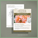 Summer Blooms: Watercolor Traceable Images Pack PDF
