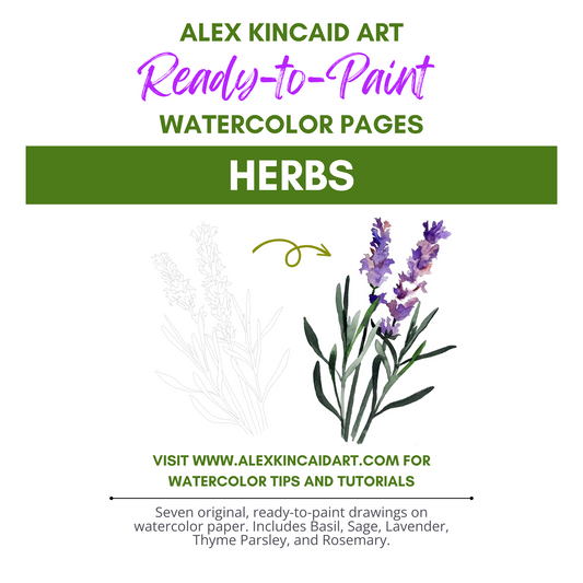 Ready-to-Paint Watercolor Pages: Herbs