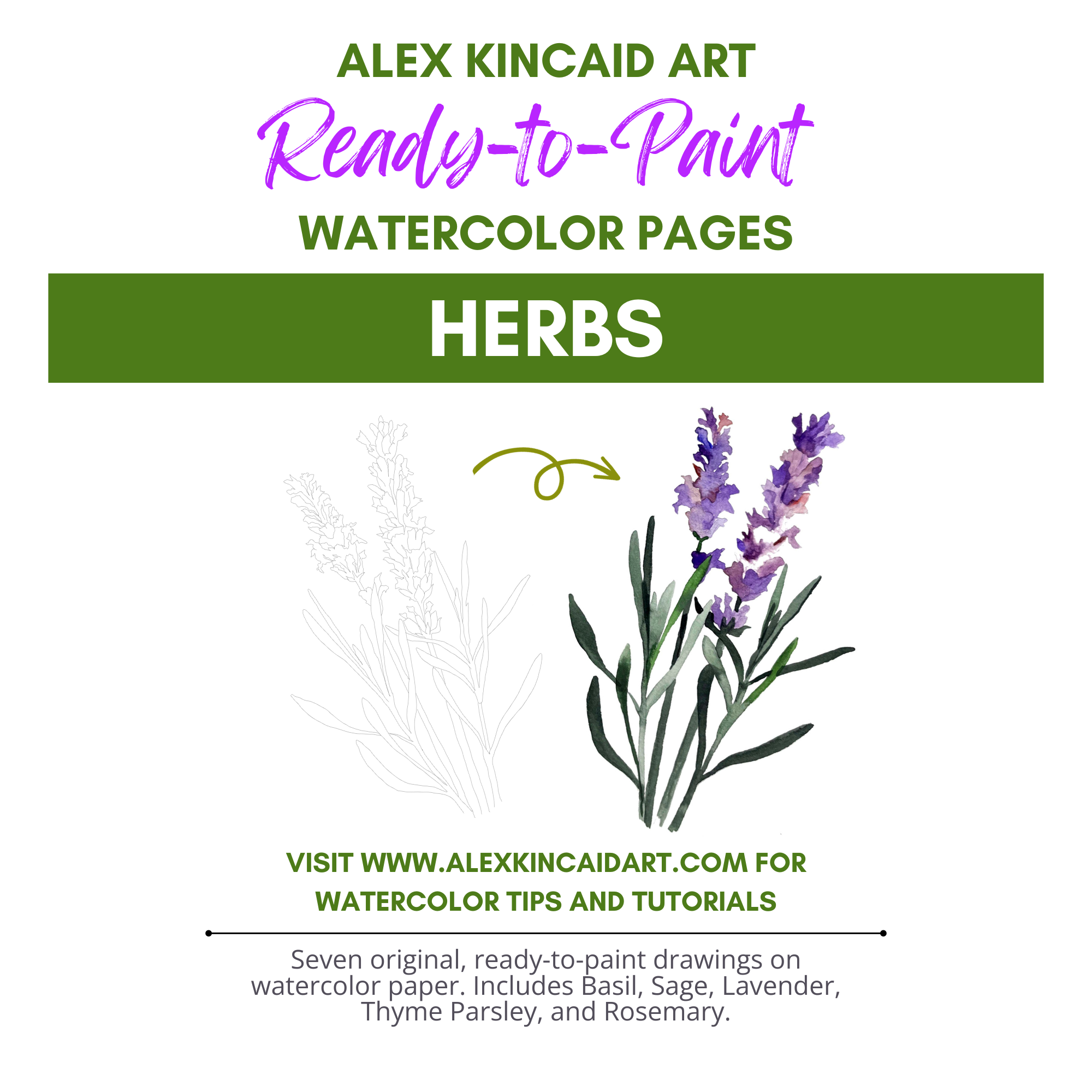 Ready-to-Paint Watercolor Pages: Herbs