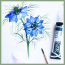Nigella Love-In-A-Mist Watercolor Tutorial — Freehand Florals Class