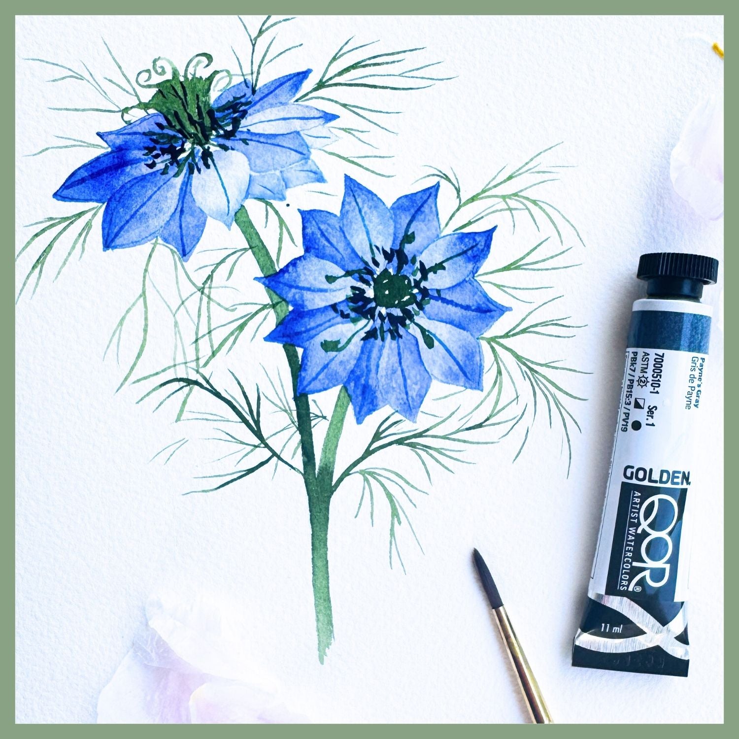 Nigella Love-In-A-Mist Watercolor Tutorial — Freehand Florals Class