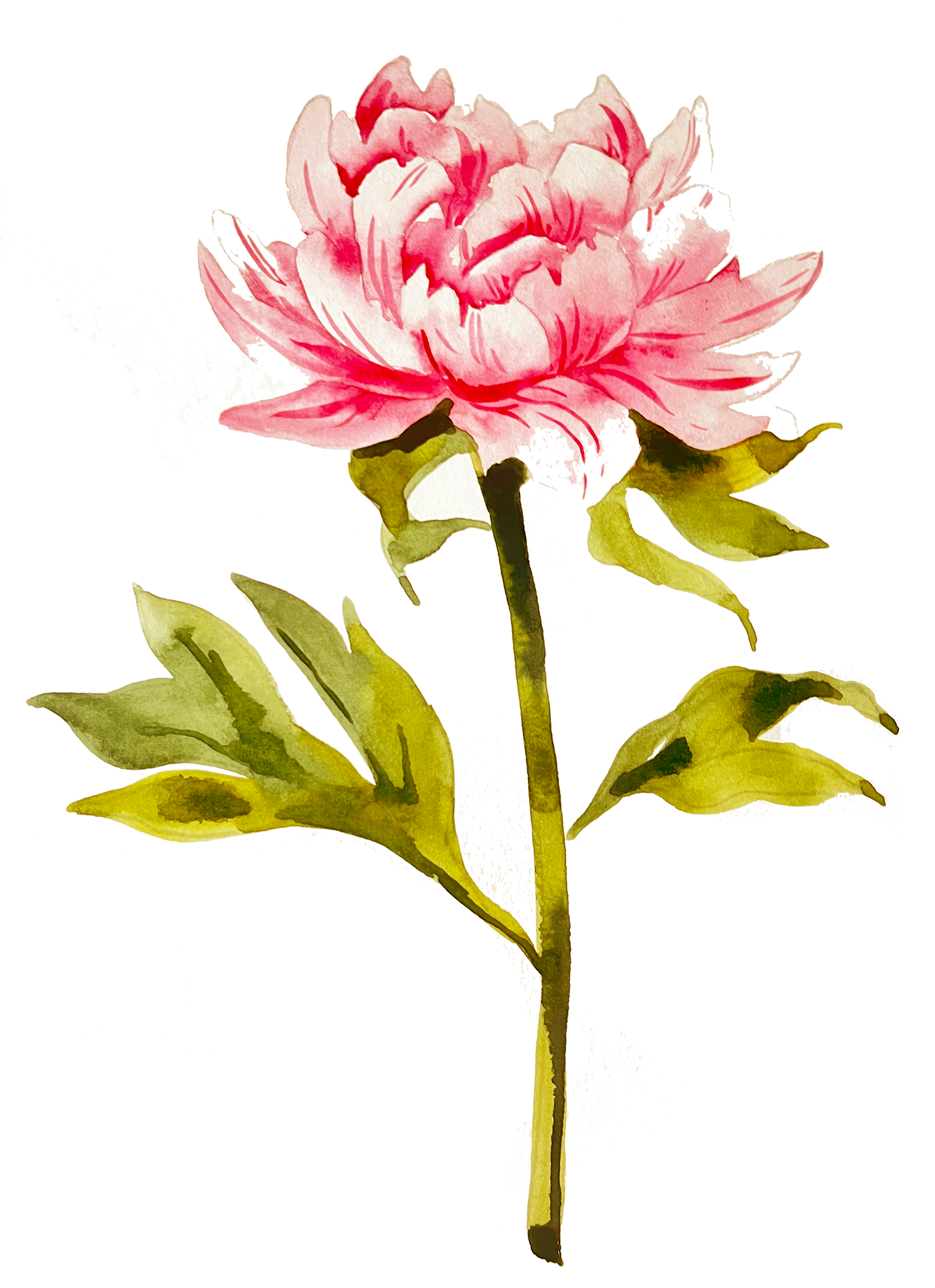 Beginner Watercolor Painting Kit (Student Grade)