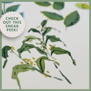 Five Freehand Leaves: Watercolor Tutorial