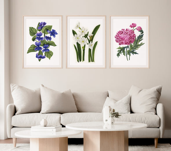 FEBRUARY: VIOLETS {FINE ART PRINT}