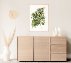 APRIL: DAISIES {FINE ART PRINT}