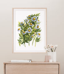APRIL: DAISIES {FINE ART PRINT}