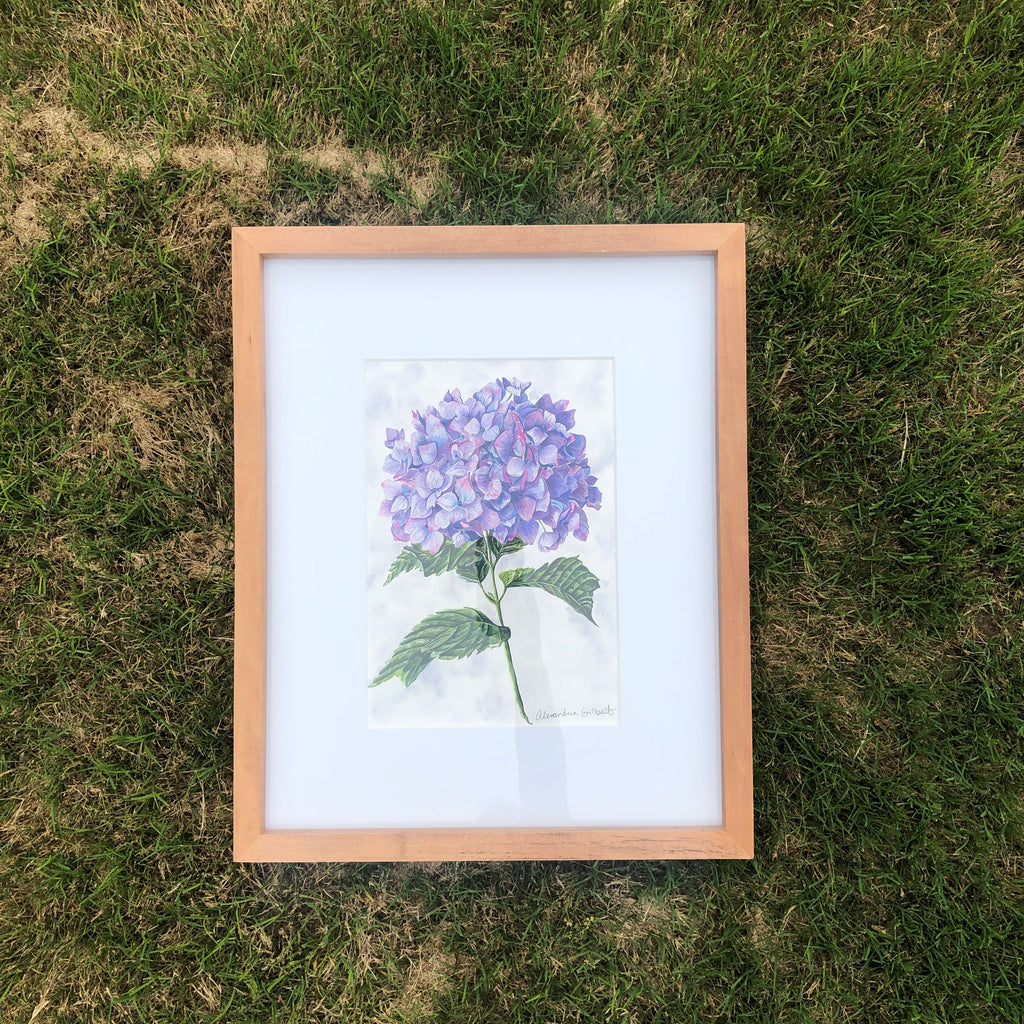 Small Purple Hydrangea {The Archives}