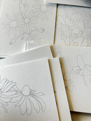 Ready-to-Paint Watercolor Sheets: Texas Wildflowers