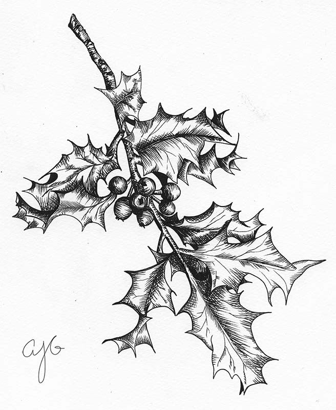 Ink- Holly Branch