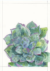 Watercolor Class: Succulent Painting at Cedar Hill Market!