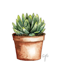 Watercolor Class: Succulent Painting at Cedar Hill Market!