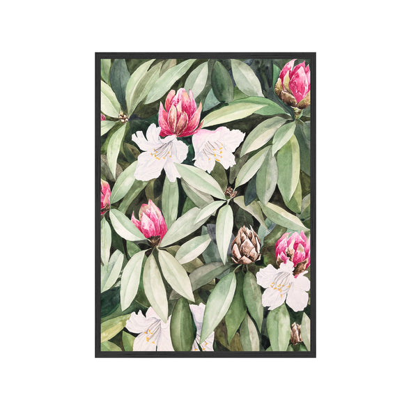 Rhododendron Bush {The Archives}