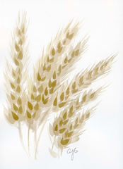 Waving Wheat #1