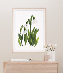 JANUARY: SNOWDROPS {FINE ART PRINT}