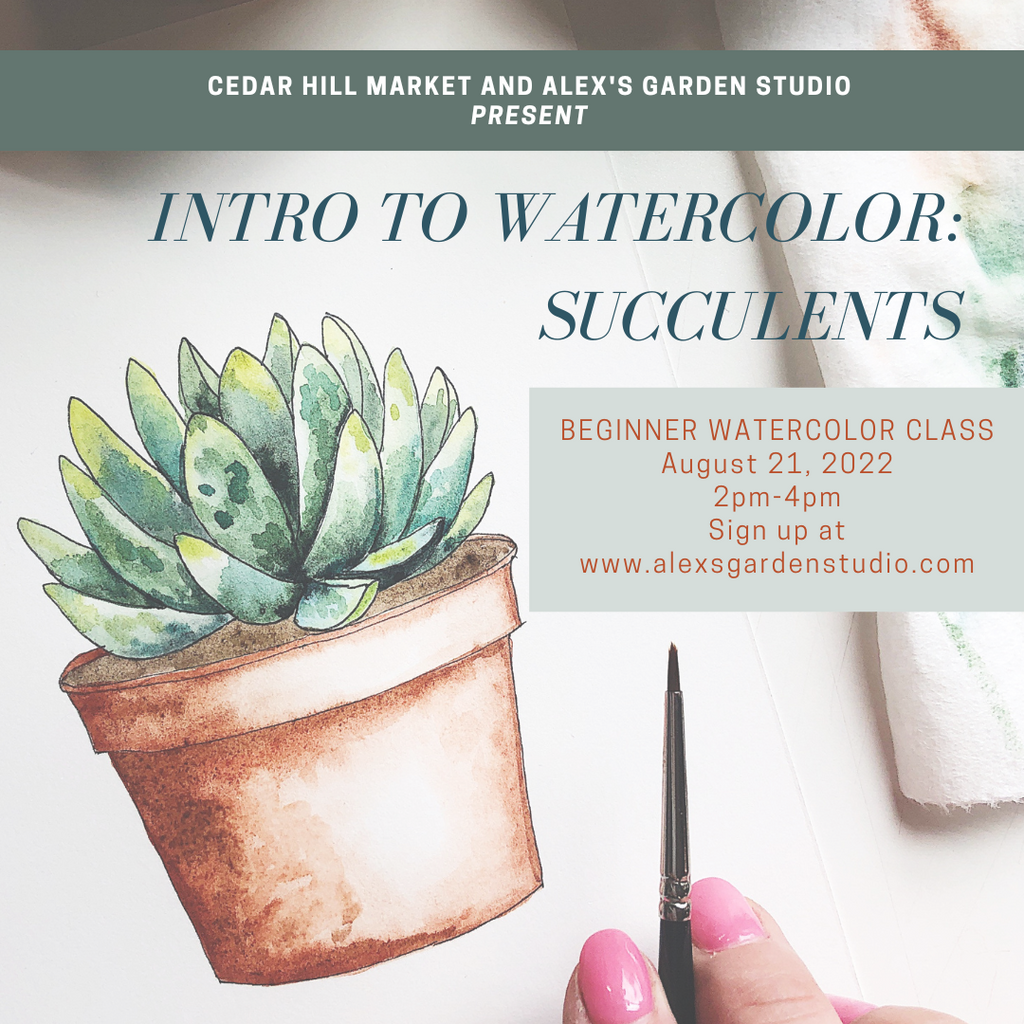 Watercolor Class: Succulent Painting at Cedar Hill Market!