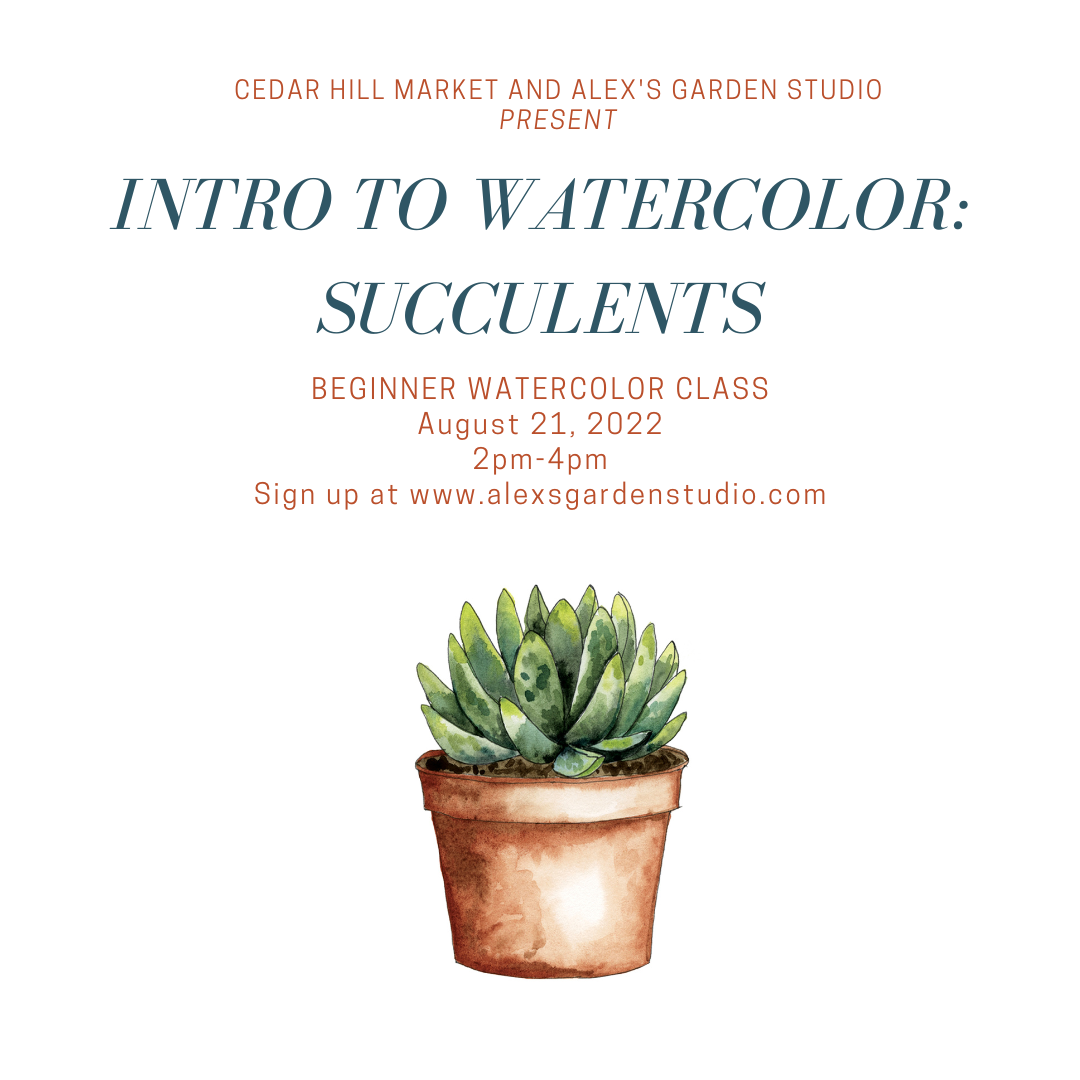 Watercolor Class: Succulent Painting at Cedar Hill Market! – Alex's Garden  Studio