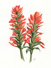 Texas Wildflowers: Watercolor Workshop