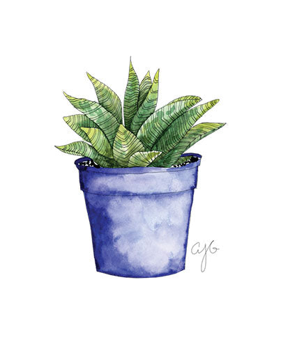 Watercolor Class: Succulent Painting at Cedar Hill Market!