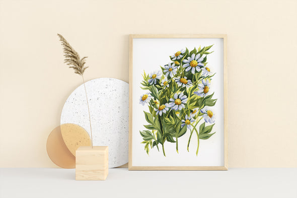 APRIL: DAISIES {FINE ART PRINT}