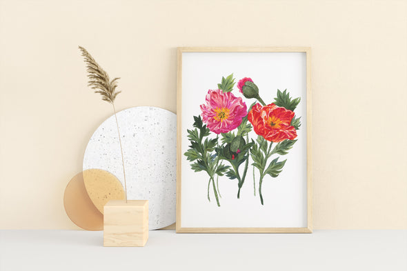 AUGUST: POPPIES {FINE ART PRINT}